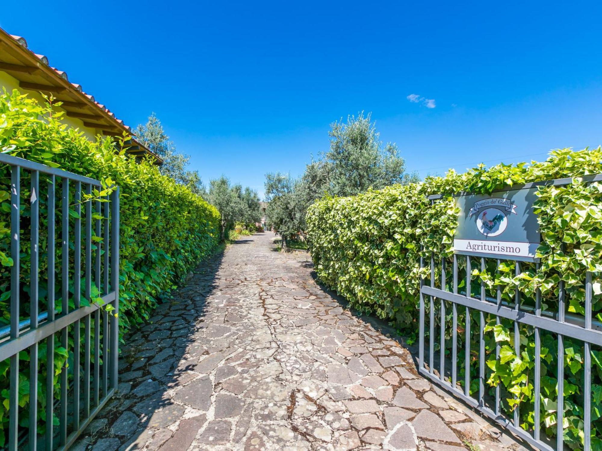Holiday Home Poggio De'Galli By Interhome Pozzolatico 외부 사진