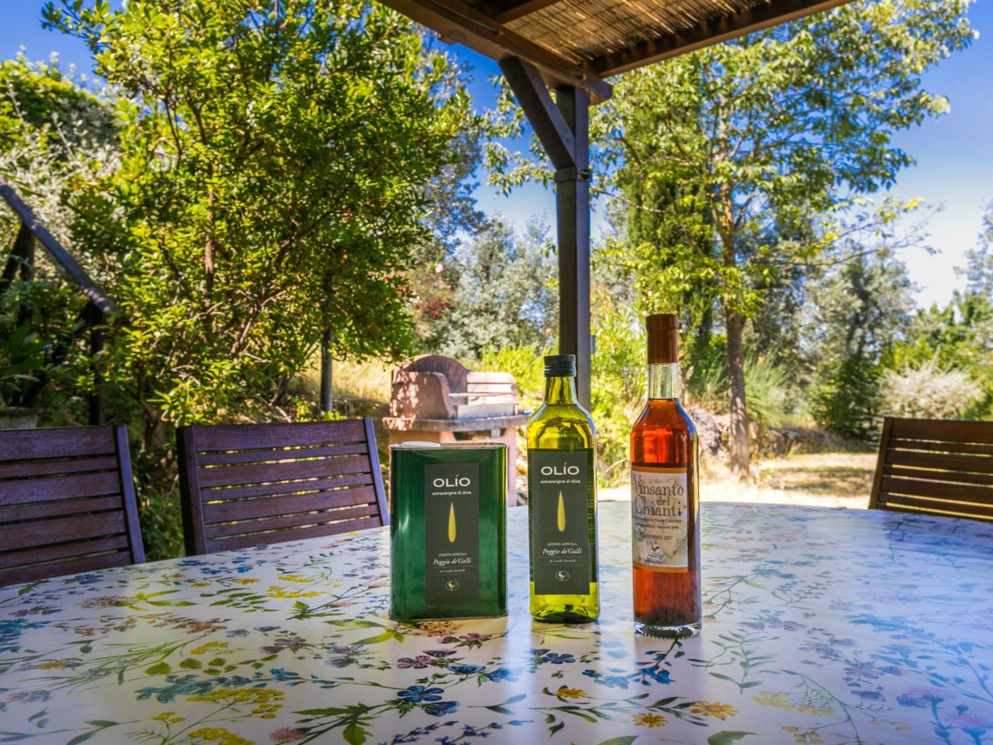 Holiday Home Poggio De'Galli By Interhome Pozzolatico 외부 사진
